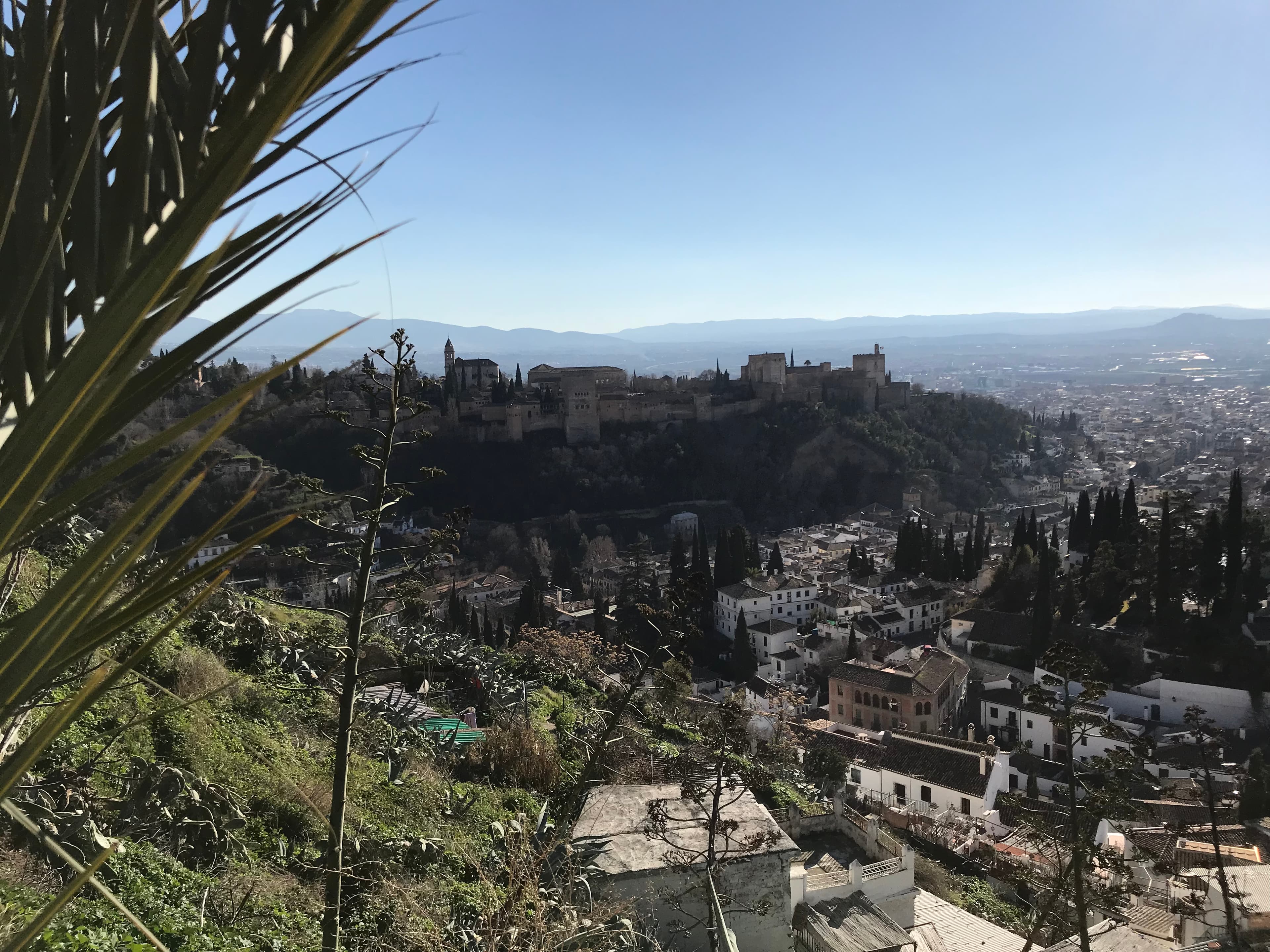 View of Granada with the Alhambra in the background