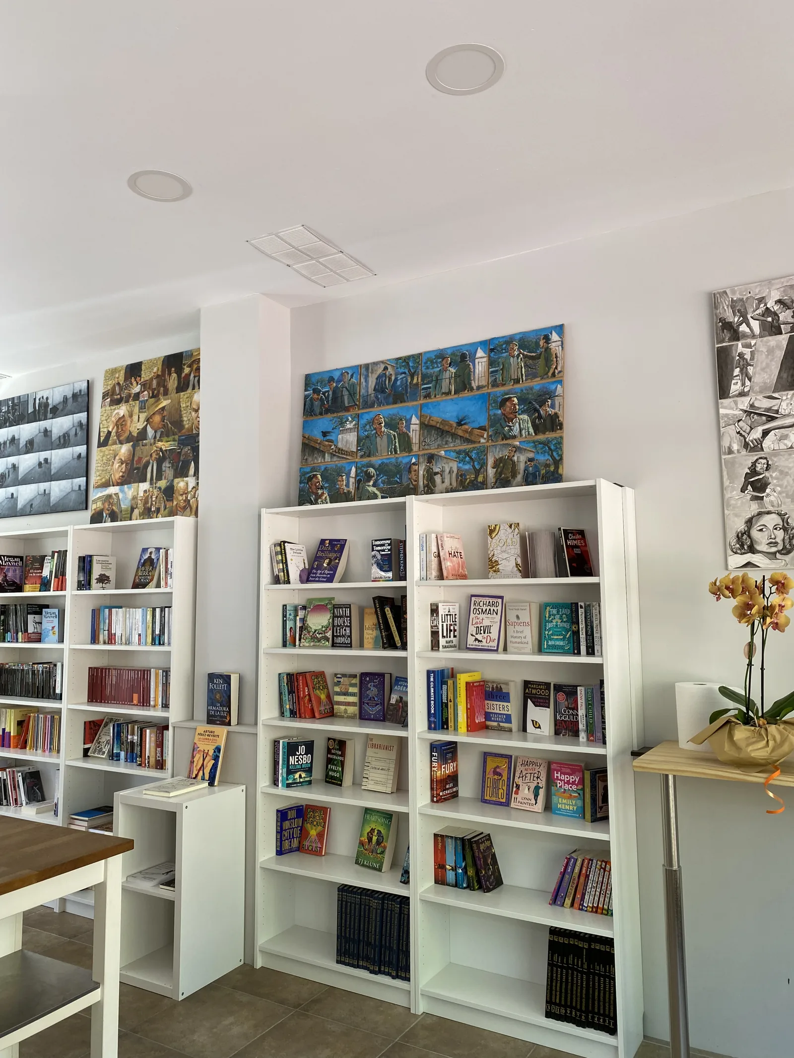 Estanterías de la Librería La Pluma